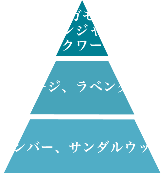 サマータイムジンジャーの分類