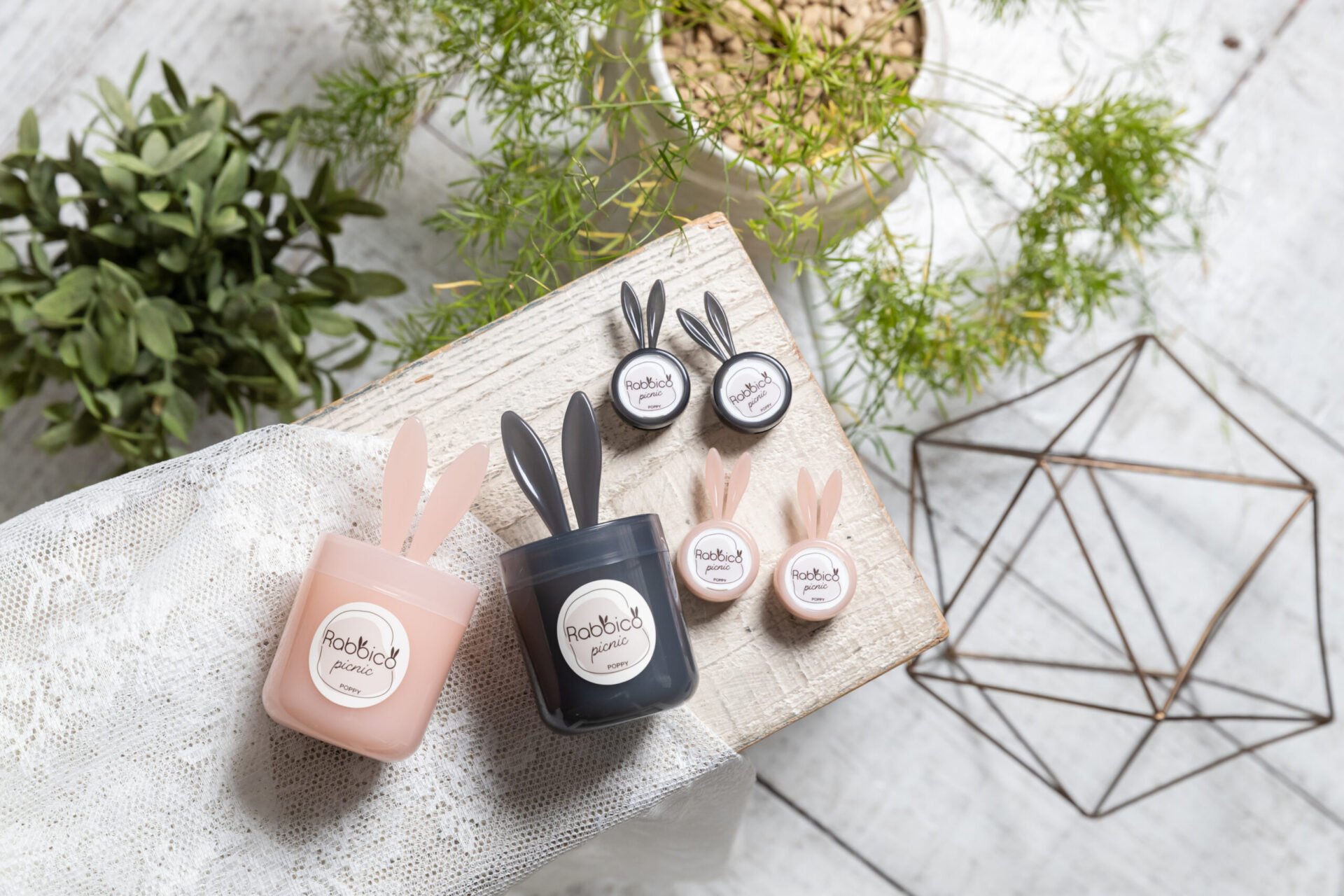 ラビッコピクニックセット - 株式会社ダイヤケミカル